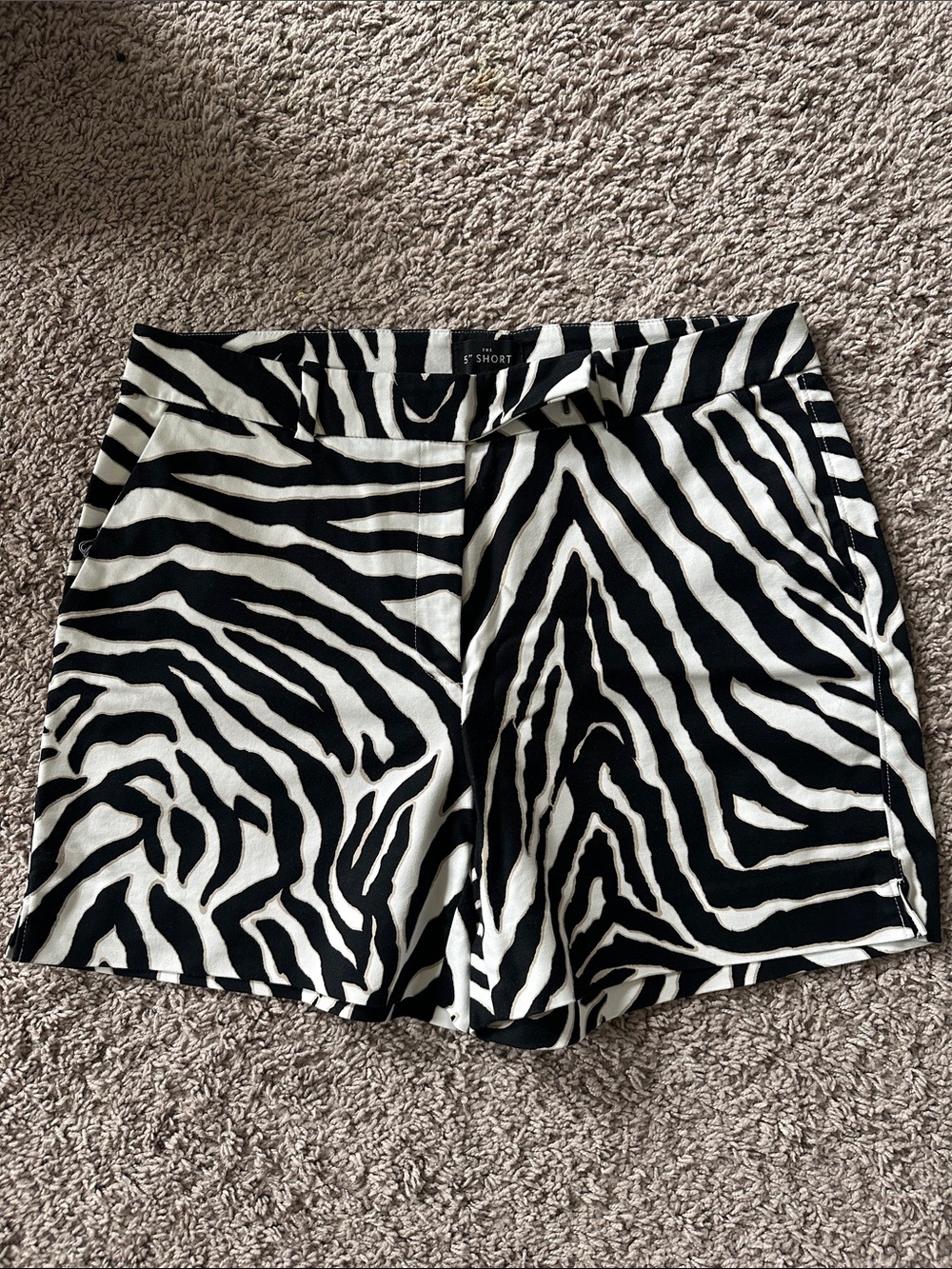 Zebra Print Women's Shorts - Black and White